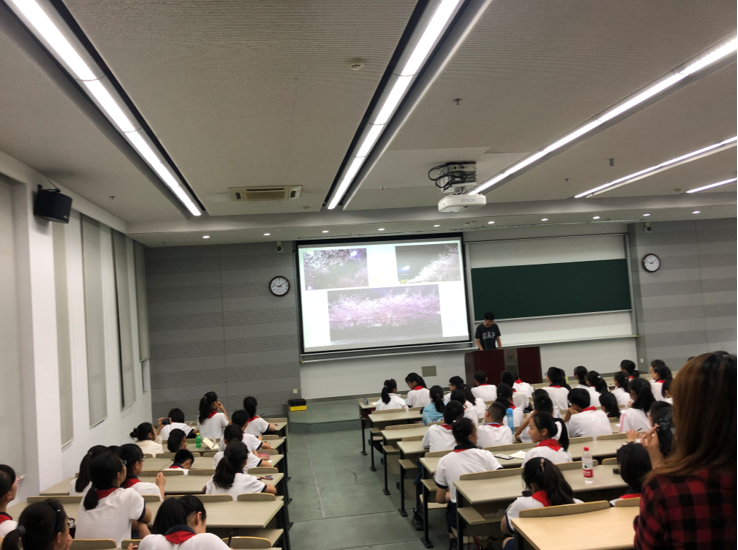 QQ浏览器截图20190627152908 QQ浏览器截图20190627152908