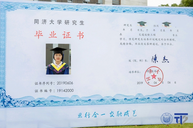 红毯6 红毯6